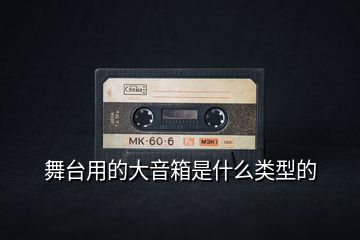 舞臺(tái)用的大音箱是什么類型的