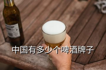 中國有多少個啤酒牌子