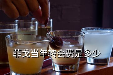 菲戈當年轉(zhuǎn)會費是多少