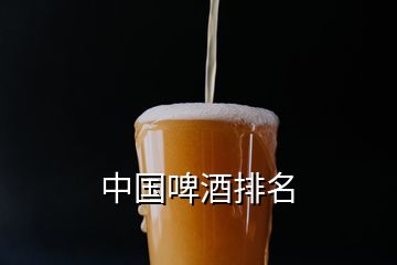 中國(guó)啤酒排名