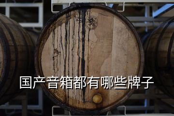 國產(chǎn)音箱都有哪些牌子