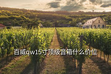 百威qw15寸頂級(jí)音箱什么價(jià)位