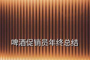 啤酒促銷(xiāo)員年終總結(jié)