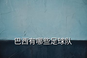巴西有哪些足球隊(duì)