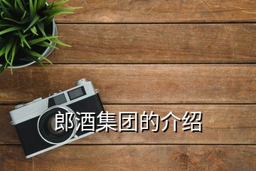 郎酒集團(tuán)的介紹