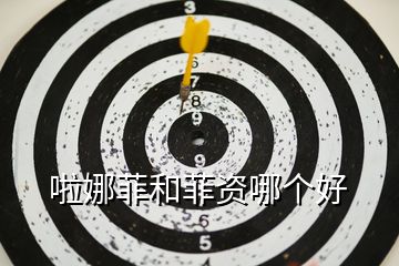 啦娜菲和菲資哪個(gè)好