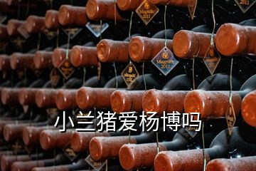 小蘭豬愛(ài)楊博嗎