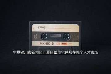 寧夏銀川市新市區(qū)西夏區(qū)單位招聘都在哪個(gè)人才市場(chǎng)