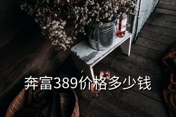 奔富389價(jià)格多少錢