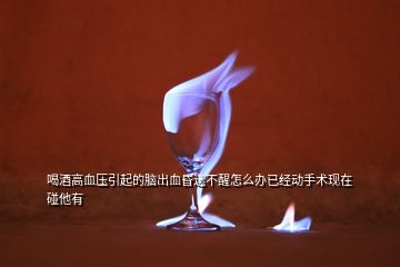 喝酒高血壓引起的腦出血昏迷不醒怎么辦已經(jīng)動(dòng)手術(shù)現(xiàn)在碰他有