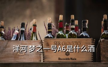 洋河 夢之一號A6是什么酒