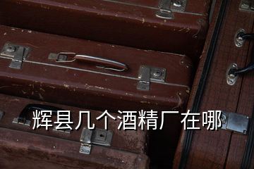 輝縣幾個酒精廠在哪