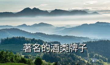 著名的酒類(lèi)牌子