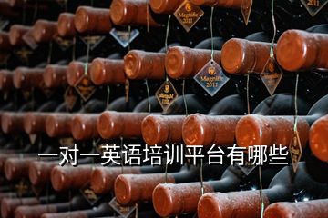 一對一英語培訓平臺有哪些