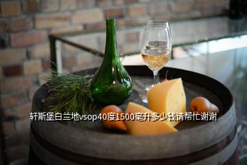 軒斯堡白蘭地vsop40度1500毫升多少錢請(qǐng)幫忙謝謝