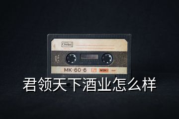 君領(lǐng)天下酒業(yè)怎么樣