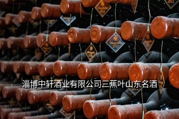 淄博中軒酒業(yè)有限公司三蕉葉山東名酒