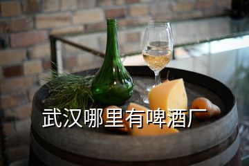 武漢哪里有啤酒廠(chǎng)