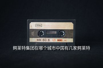 鱷萊特集團(tuán)在哪個(gè)城市中國(guó)有幾家鱷萊特
