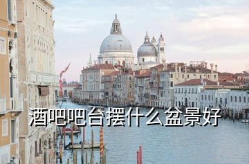 酒吧吧臺(tái)擺什么盆景好