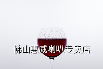 佛山惠威喇叭專(zhuān)賣(mài)店