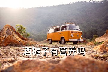 酒糙子有營(yíng)養(yǎng)嗎