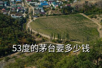 53度的茅臺要多少錢