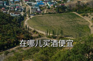 在哪兒買酒便宜