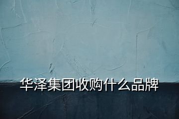 華澤集團(tuán)收購(gòu)什么品牌