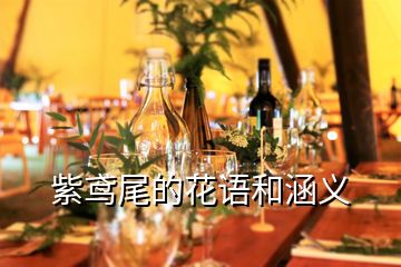 紫鳶尾的花語(yǔ)和涵義