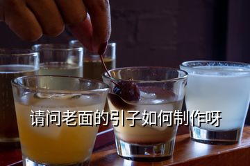 請問老面的引子如何制作呀