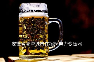 安徽省哪些城市在招標(biāo)電力變壓器