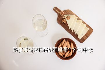 黔張常高速鐵路桃源段哪個公司中標(biāo)