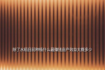 除了水稻目前種植什么最賺錢畝產效益大概多少