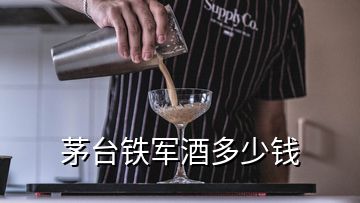 茅臺(tái)鐵軍酒多少錢(qián)