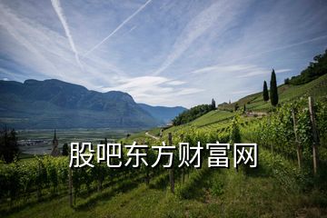 股吧東方財富網