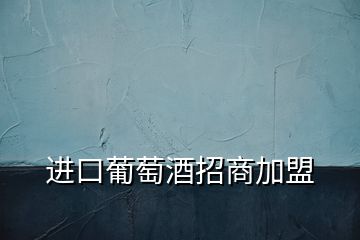 進(jìn)口葡萄酒招商加盟