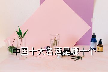 中國十大名酒是哪十個(gè)
