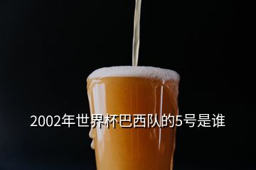 2002年世界杯巴西隊的5號是誰