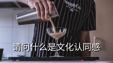 請(qǐng)問什么是文化認(rèn)同感
