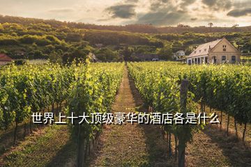 世界上十大頂級豪華的酒店各是什么