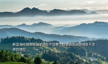 新藍海經銷商培訓學院在中國整個經銷商培訓領域處于怎樣的地位