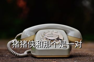 豬豬俠和那個是一對