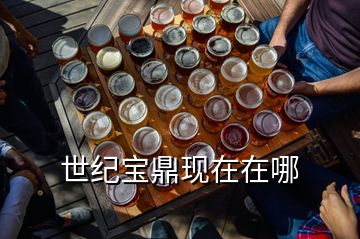 世紀(jì)寶鼎現(xiàn)在在哪