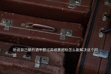 聽說自己釀的酒甲醛過高細菌超標(biāo)怎么能解決這個問題