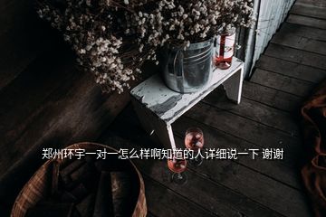 鄭州環(huán)宇一對一怎么樣啊知道的人詳細說一下 謝謝