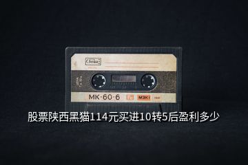 股票陜西黑貓114元買進10轉(zhuǎn)5后盈利多少