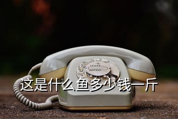 這是什么魚(yú)多少錢(qián)一斤