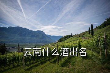 云南什么酒出名