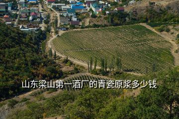 山東梁山第一酒廠的青瓷原漿多少錢